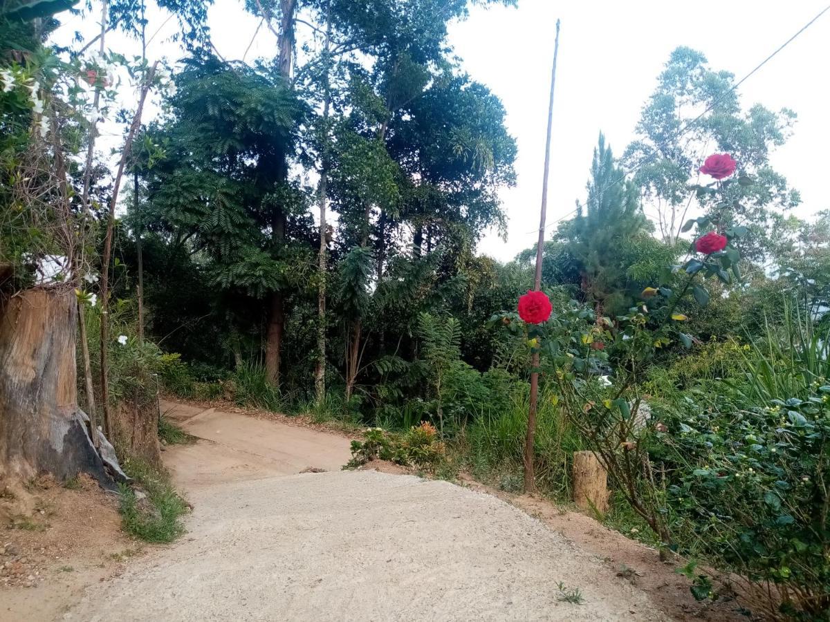 Apurvi Homestay Элла Экстерьер фото